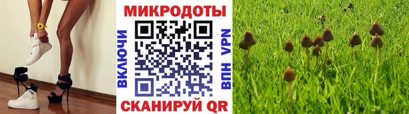 Псилоцибиновые грибы прущие грибы  наркошоп  Кочубеевское 
